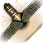 1488219240_podboy.png